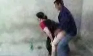 Palam dubur matang U ...